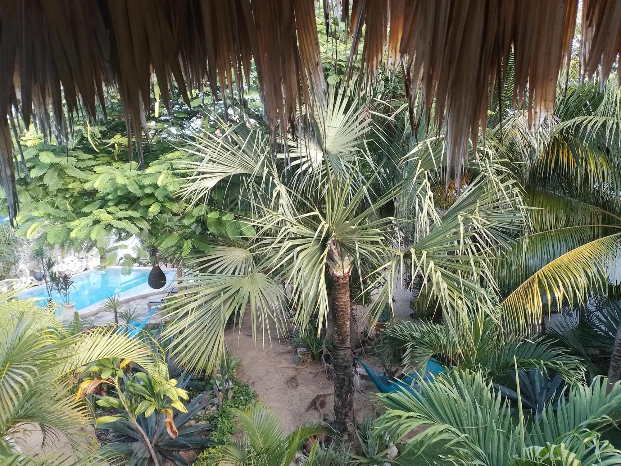 Hotel Zamunda Garden View Tulum Exterior foto