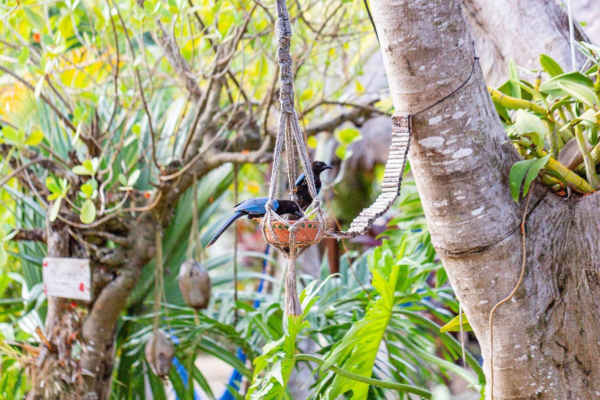 Hotel Zamunda Garden View Tulum Exterior foto