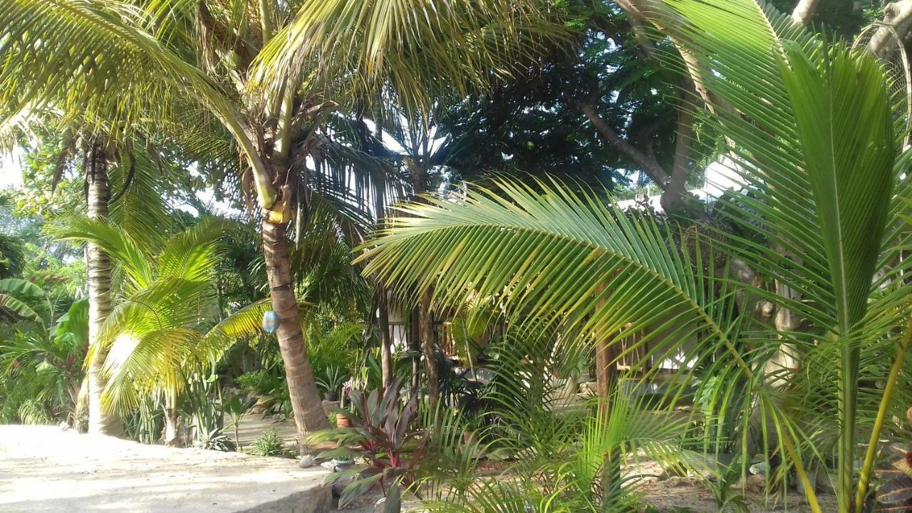 Hotel Zamunda Garden View Tulum Exterior foto